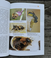 Domčeky pre včely a užitočný hmyz - Grada - predaj kníh - 1 ks