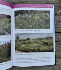 Kvety pre suché záhrady - Grada - predaj kníh - 1 ks