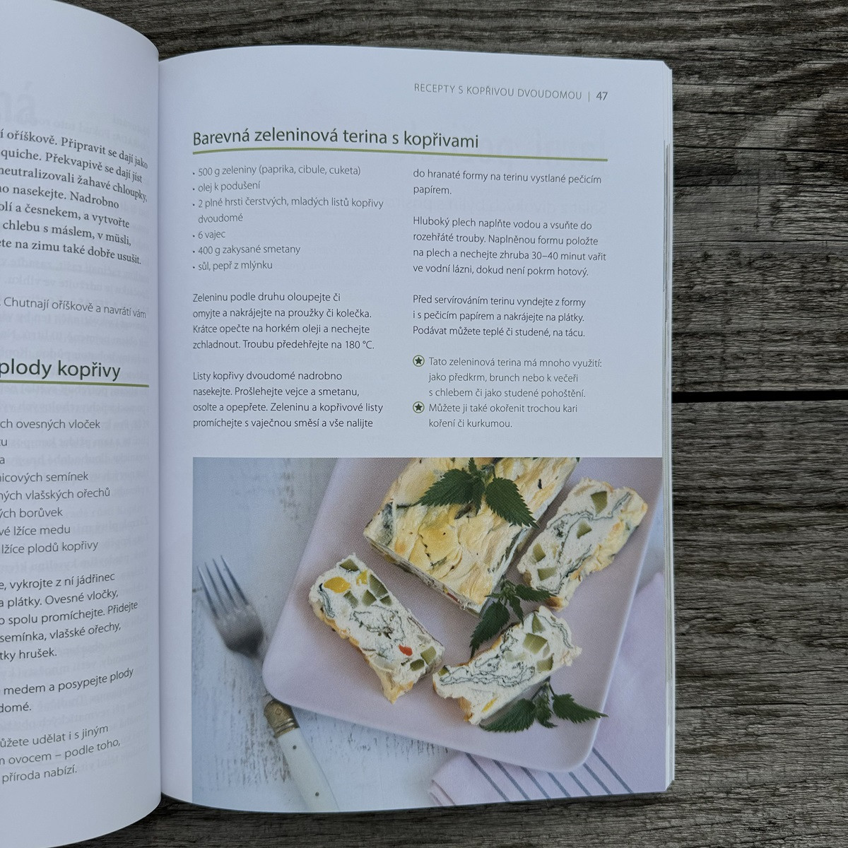 Liečivé byliny v kvetináči a na záhrade - Grada - predaj kníh - 1 ks