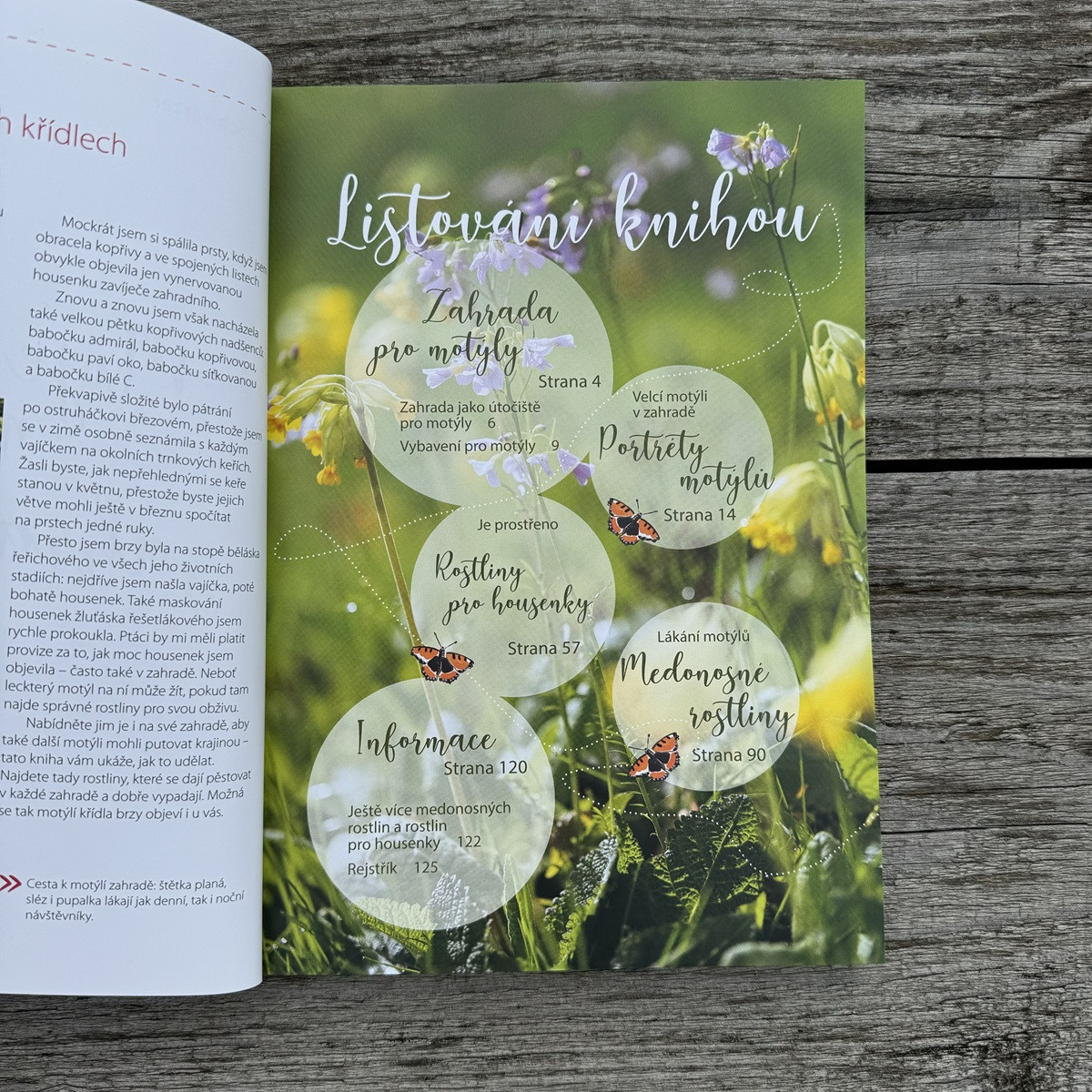Moja motýlia záhrada - Grada - predaj kníh - 1 ks