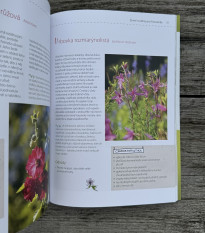 Moja motýlia záhrada - Grada - predaj kníh - 1 ks