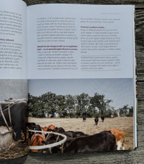 BIO je naša cesta - Kazda - predaj kníh - 1 ks