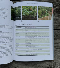 Ako na vyvýšené záhony - Kazda - predaj kníh - 1 ks