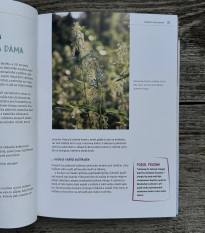 Burina na tanieri - Kazda - predaj kníh - 1 ks