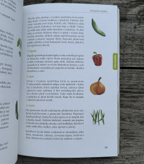 Skúste to doma sami - záhrada a balkón - Kazda - predaj kníh - 1 ks