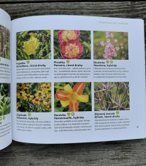 Statoční v záhrade - Kazda - predaj kníh - 1 ks