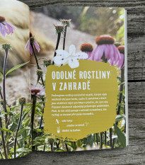 Záhrada bez polievania - Kazda - predaj kníh - 1 ks