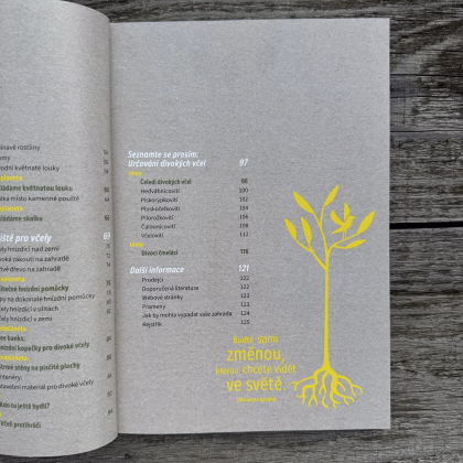 Ako zachrániť včely - Kazda - predaj kníh - 1 ks