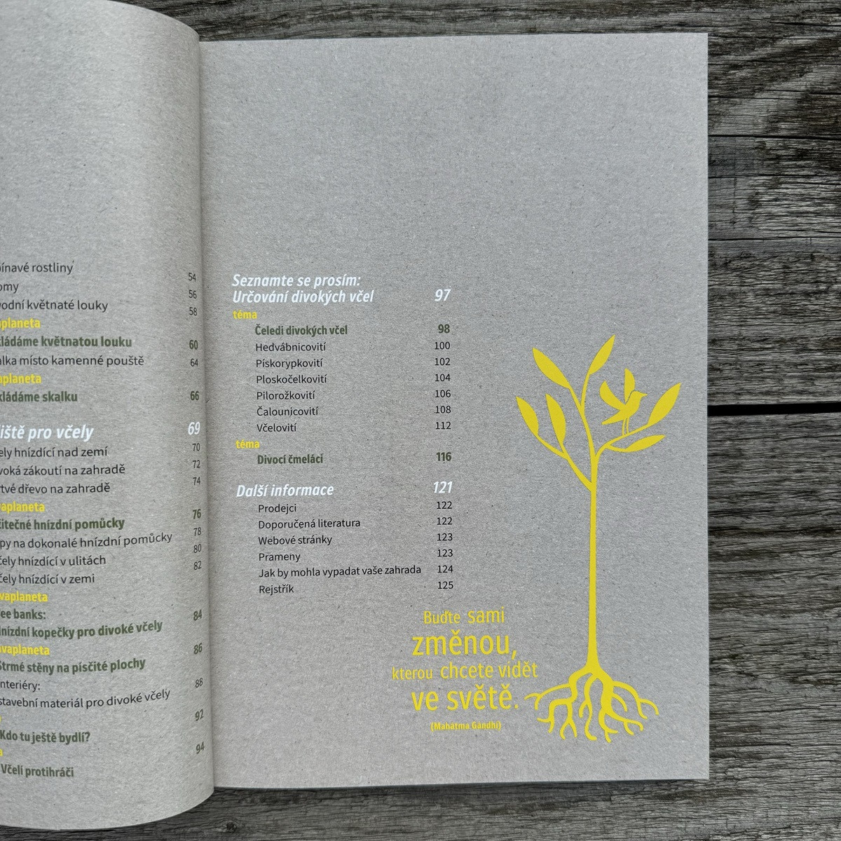 Ako zachrániť včely - Kazda - predaj kníh - 1 ks