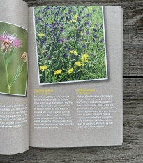 Ako zachrániť včely - Kazda - predaj kníh - 1 ks