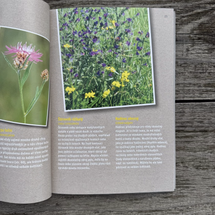 Ako zachrániť včely - Kazda - predaj kníh - 1 ks