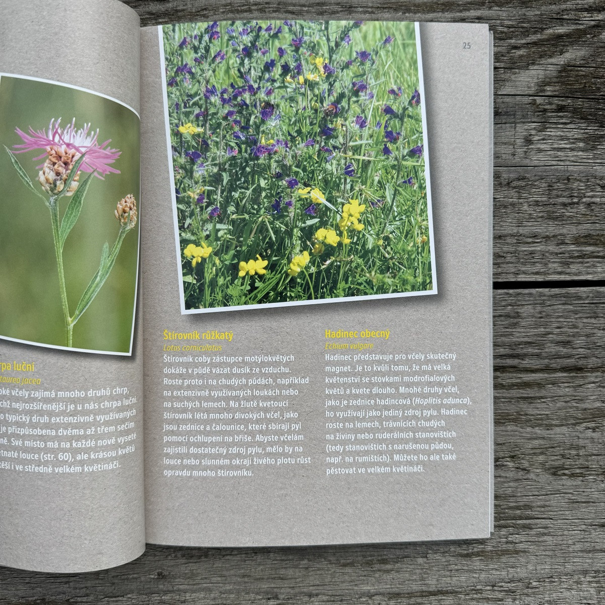 Ako zachrániť včely - Kazda - predaj kníh - 1 ks