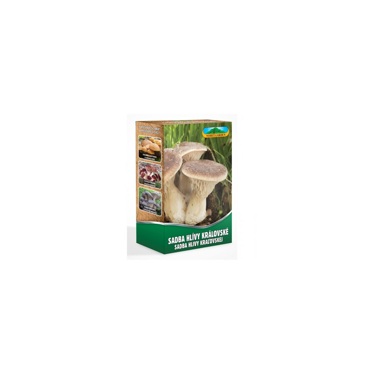 Hliva kráľovská máčková - Pleurotus eryngii - sadivo - predaj - 250 ml