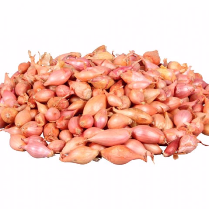 Cibuľa sadzačka Rosanna - Allium cepa - predaj cibuliek - 250 g