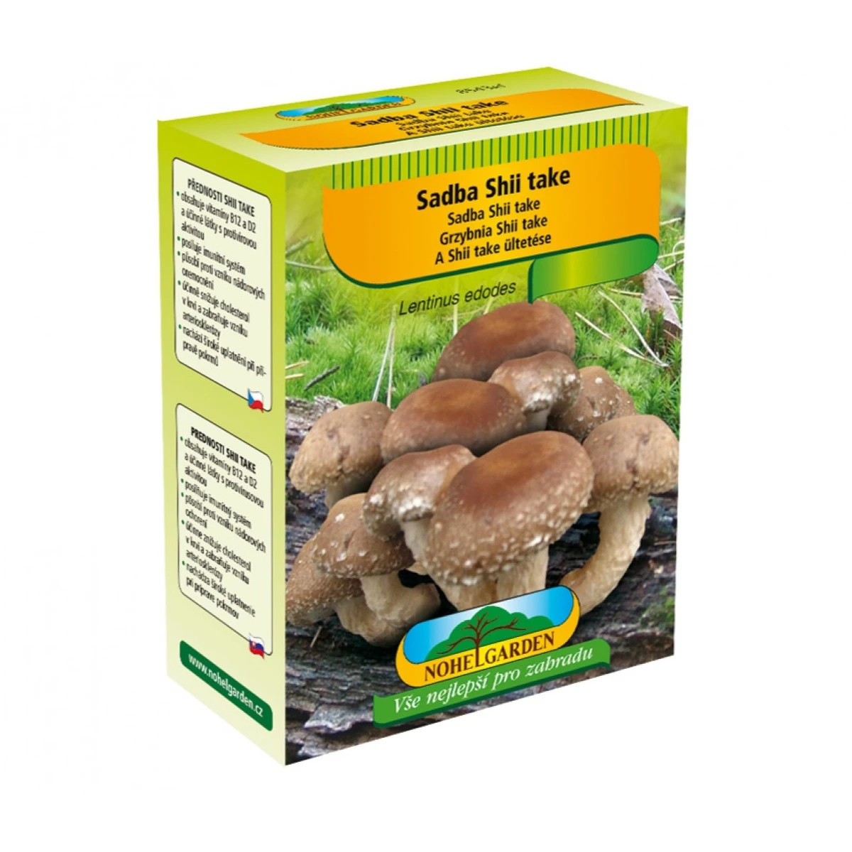 Shii take - Húževnatec jedlý - Lentinula edodes - sadba - predaj - 250 ml