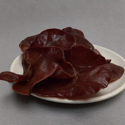 Sadba Ucho Judášovo – Auricularia auricula-judae – sadba húb – predaj