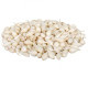 Cibuľa sadzačka Snowball - Allium cepa - predaj cibuliek - 250 g