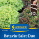 Batavia šalát duo Florine & Rossia - predaj výsevných pásikov - 1 ks