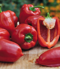 Paprika Almira Midi Red F1 - Capsicum annuum - predaj semien - 5 ks