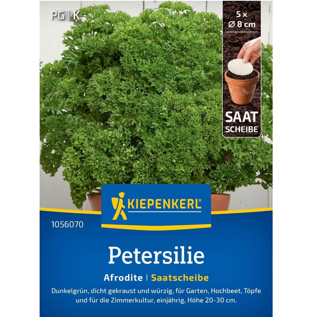 Petržlen kučeravý Afrodite – predaj výsevných diskov – predaj semien