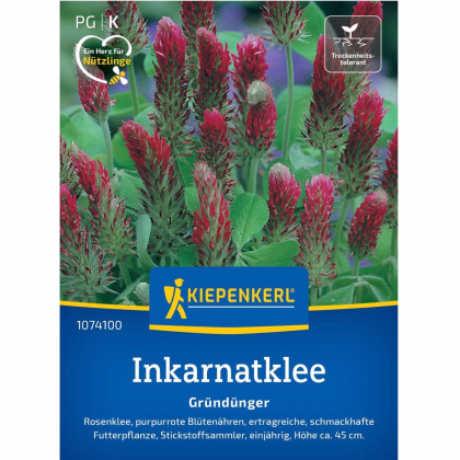 Zelené hnojenie - Ďatelina inkarnát - predaj semien - 75 g