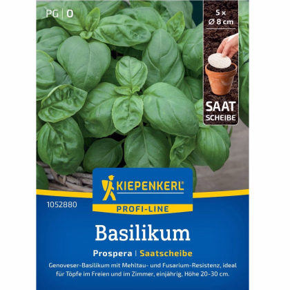 Semená bazalky Prospera - predaj výsevných diskov - 5 ks