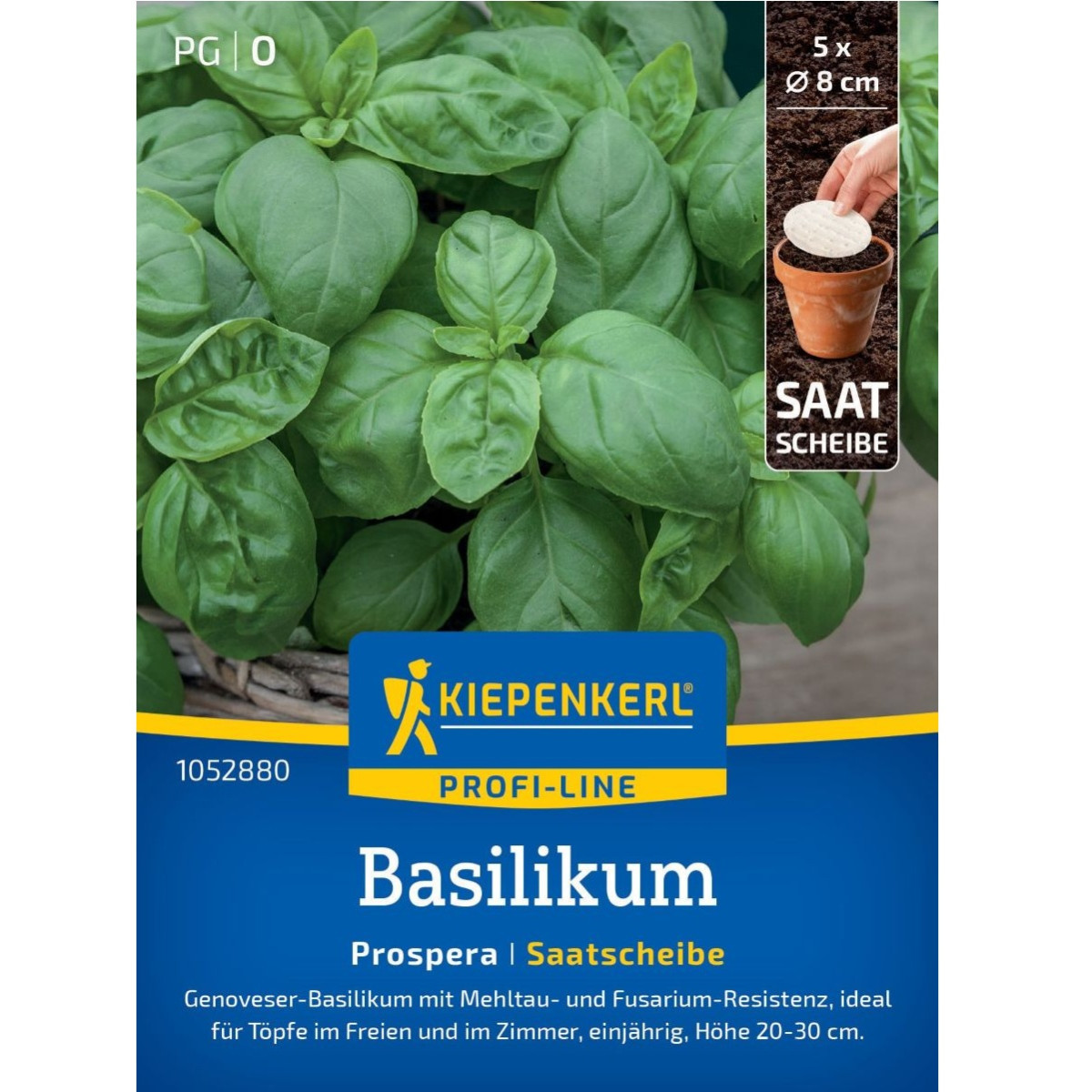 Semená bazalky Prospera - predaj výsevných diskov - 5 ks