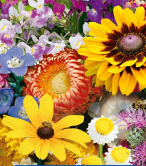 Kvetinová zmes - záhradné suché kúty - Kiepenkerl - predaj semien - 1 ks