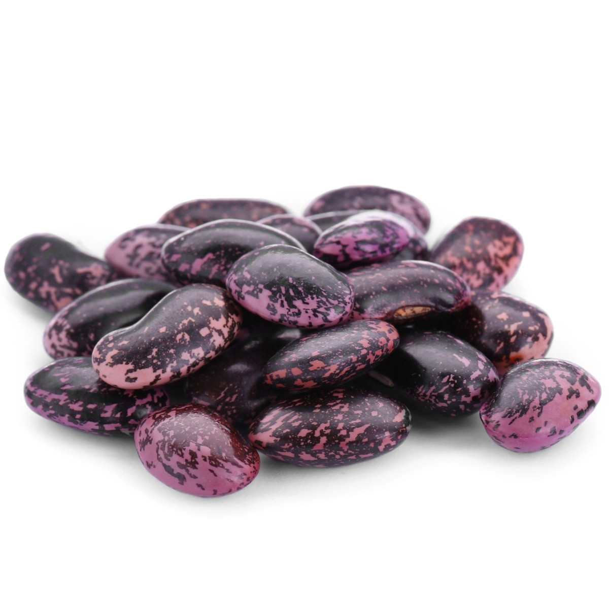 Fazuľa šarlátová Lady di - Phaseolus coccineus - predaj semien fazule - 10 ks