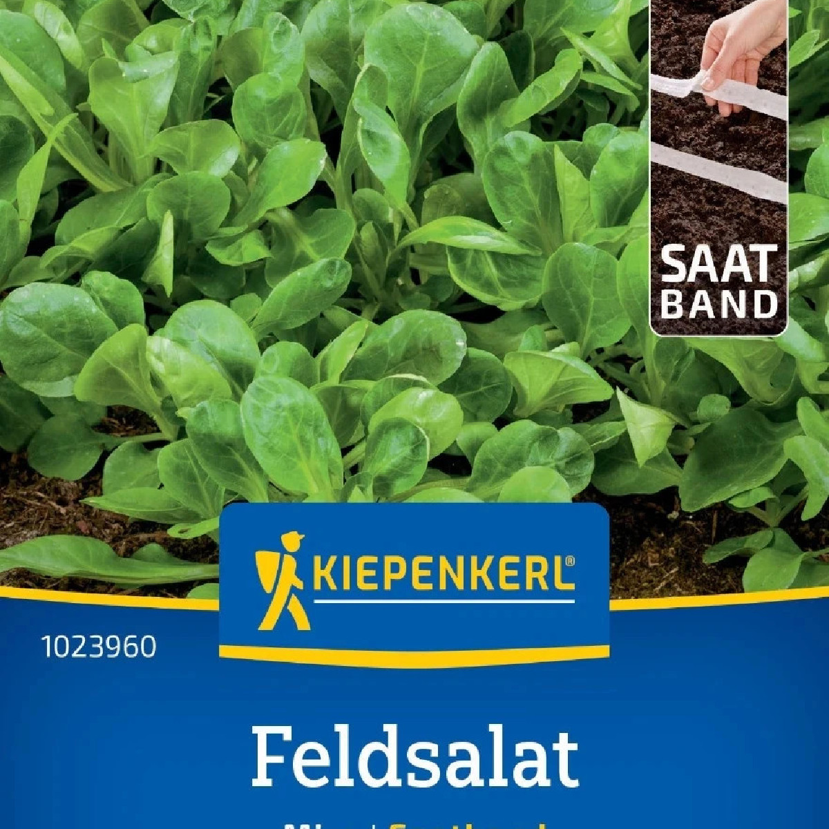 Semená šalátu Miro - predaj výsevných pásikov - 1 ks