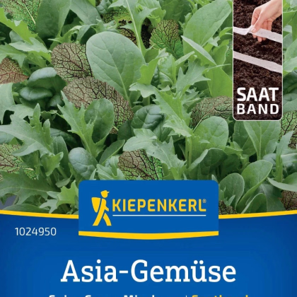 Semená ázijských šalátov mix - predaj výsevných pásikov - 1 ks