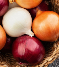 Semená cibule trio Hylander, Romy a Honeymoon - predaj výsevných pásikov - 1 ks