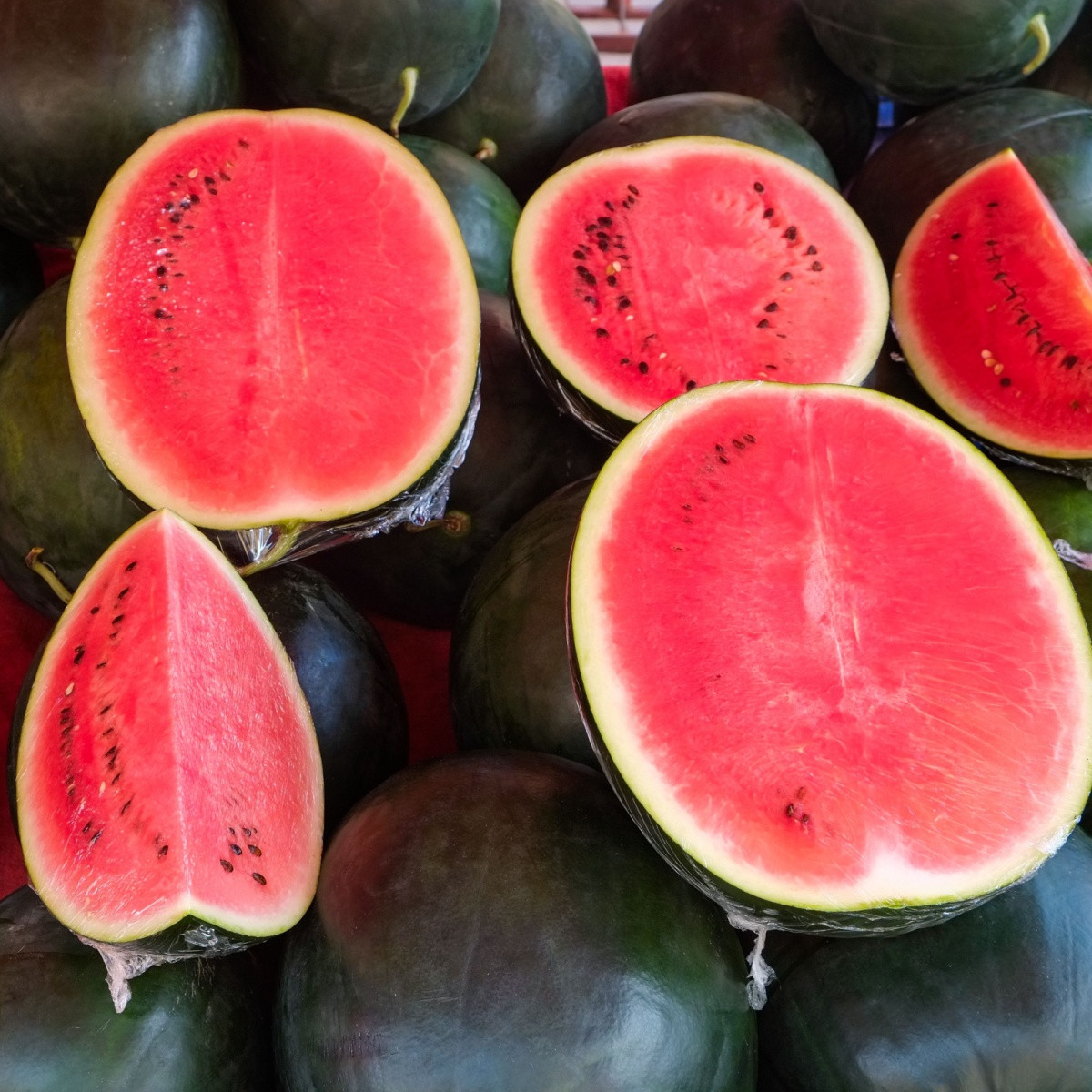 Bio Melón vodný Sugar baby - Citrullus lanatus - predaj bio semien - 6 ks