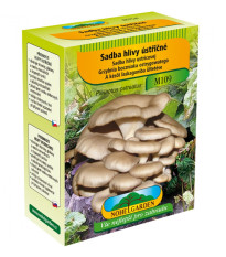 Hliva ustricová - Pleurotus ostreatus - sadivo - predaj - 250 ml