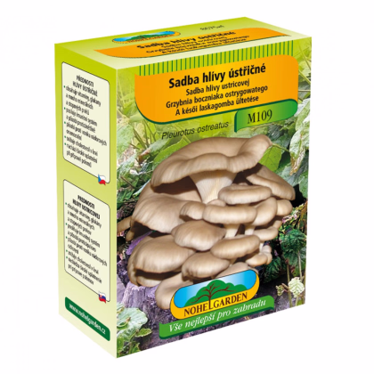 Hliva ustricová - Pleurotus ostreatus - sadivo - predaj - 250 ml