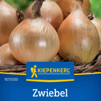 Cibuľa Exhibition - Allium cepa - predaj semien - 100 ks