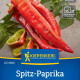 Paprika Thor F1 - Capsicum annuum - predaj semien - 7 ks