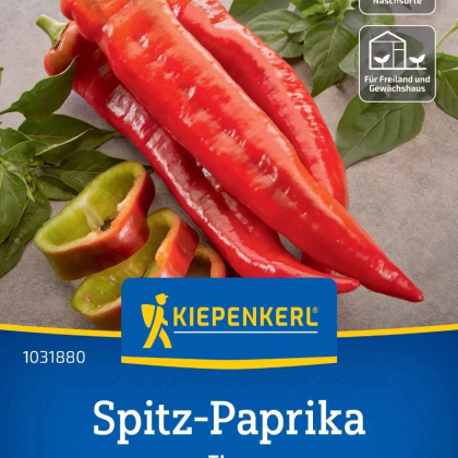 Paprika Thor F1 - Capsicum annuum - predaj semien - 7 ks