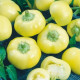 Paprika ročná Jablina F1 - Capsicum annuum - predaj semien - 10 ks