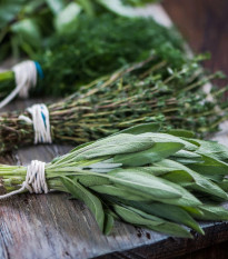 Tri obľúbené bylinky - predaj výsevných pásikov - Sperli - 1 ks