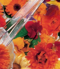 Kvetinová zmes - jedlé kvety do šalátov - Sperli - predaj semien - 1 ks