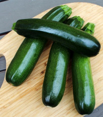 Cuketa Tarmino F1 - Cucurbita pepo - predaj semien - 6 ks