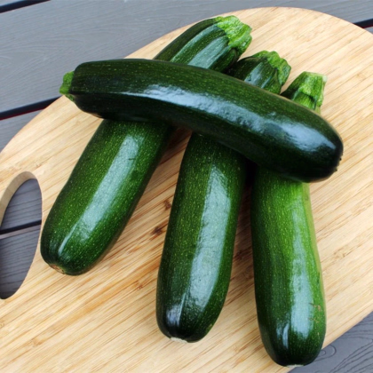 Cuketa Tarmino F1 - Cucurbita pepo - predaj semien - 6 ks