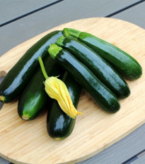 Cuketa Sandokan F1 - Cucurbita pepo - semená cukety - 8 ks