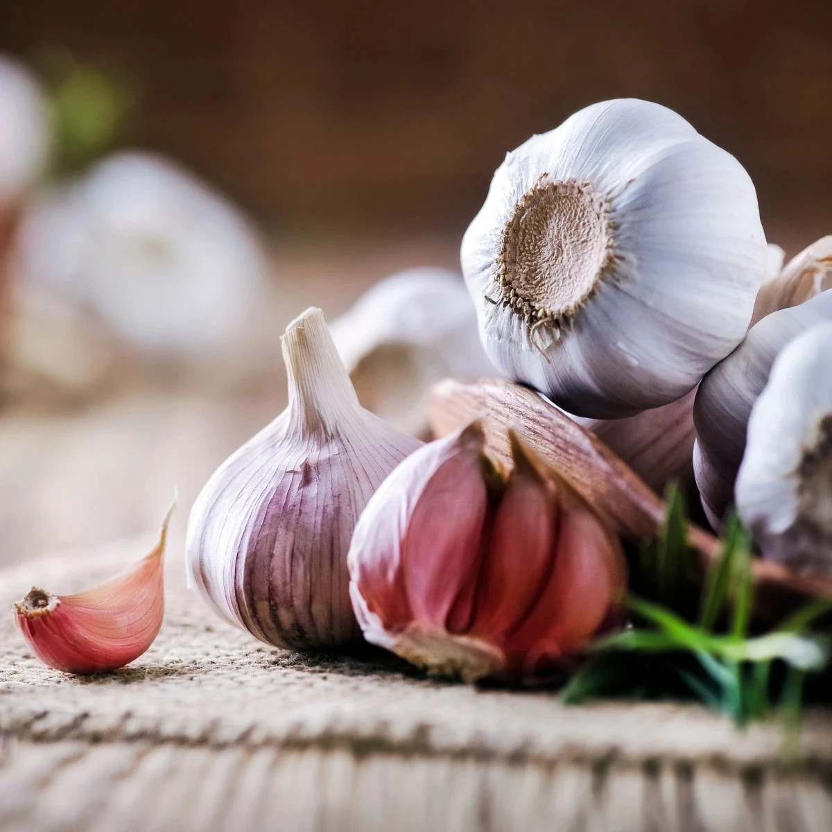 Sadbový cesnak Morado de Cuenca - Allium - nepaličák - predaj cibulí cesnaku - 1 balenie