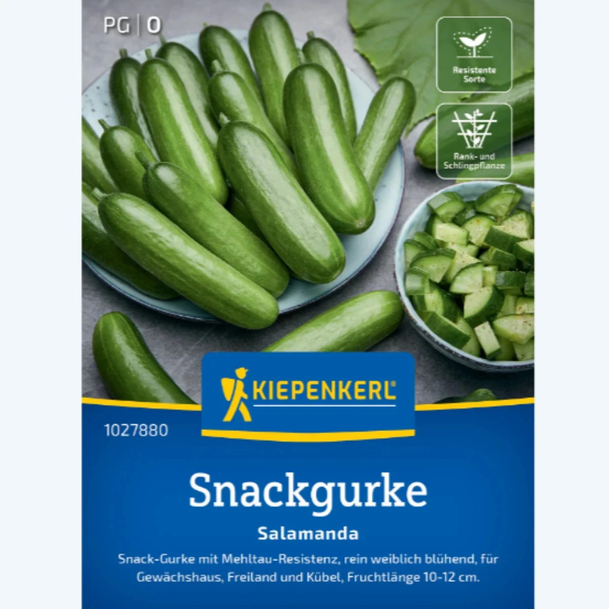 Uhorka šalátová Salamanda F1 - Cucumis sativus - predaj semien - 6 ks