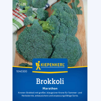 Brokolica Marathon F1 - Brassica oleracea - predaj semien - 30 ks