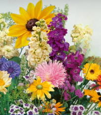 Kvetinová zmes - Letný večer - Kiepenkerl - predaj semien - 1 ks