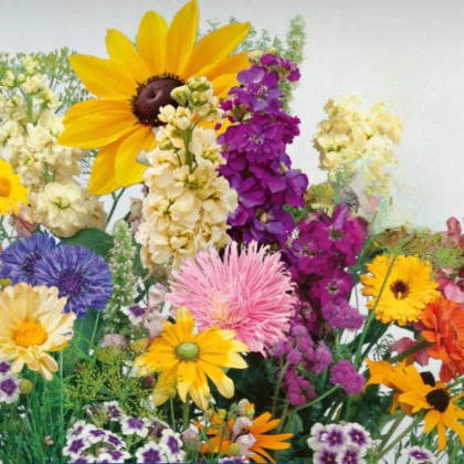 Kvetinová zmes - Letný večer - Kiepenkerl - predaj semien - 1 ks