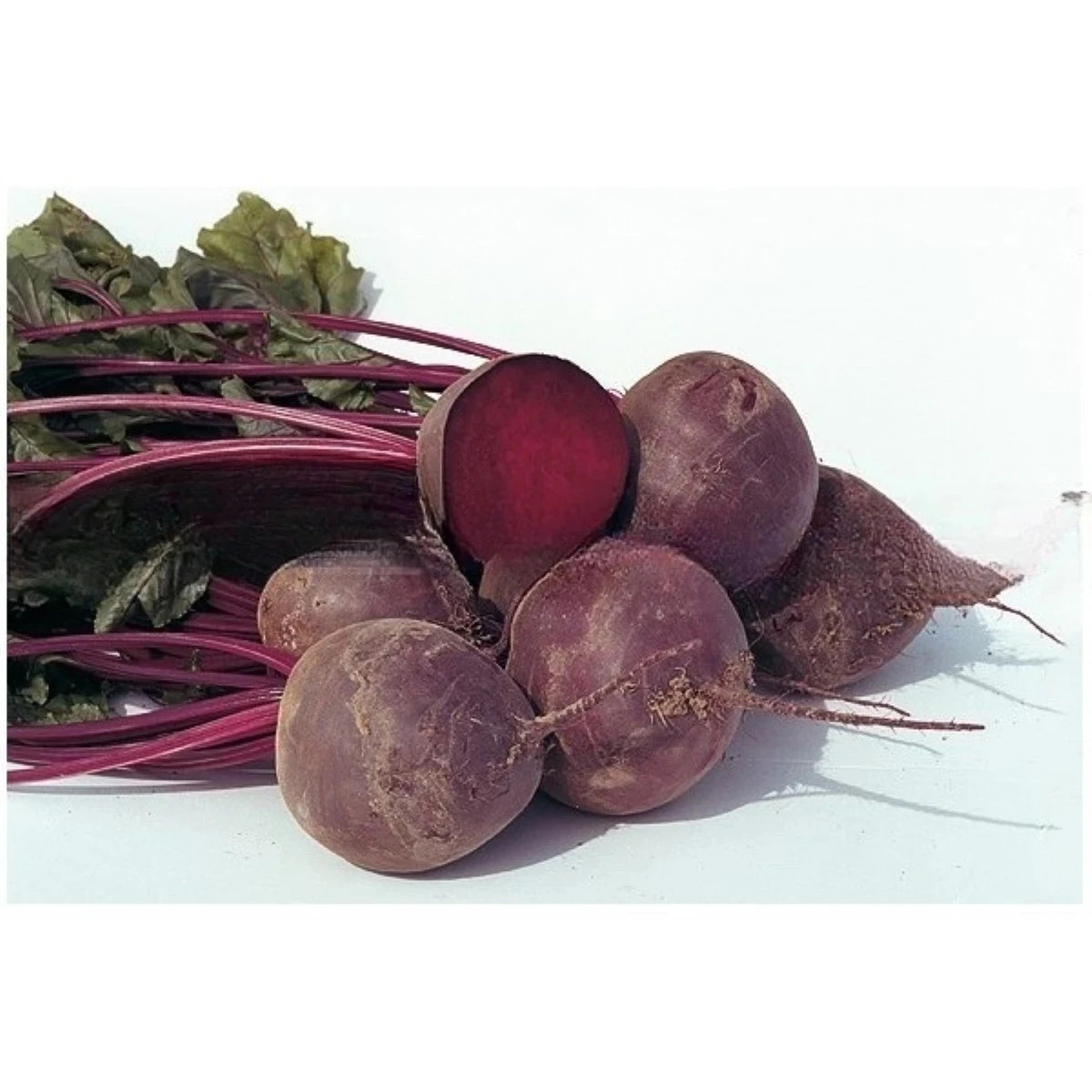 BIO Červená repa Boro F1 - Beta vulgaris - predaj bio semien - 50 ks